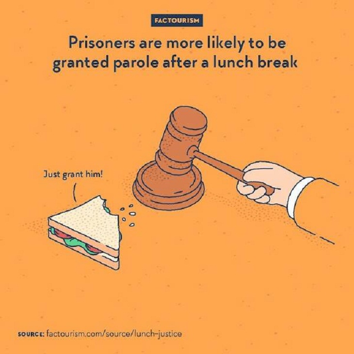 Illustrated Facts, parole