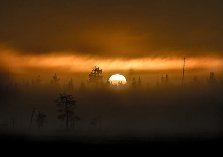  Finland's Untamed Wilderness, Misty Sunrise