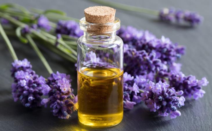 DIY Body Oils, Lavender 