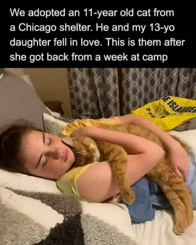 heartwarming posts