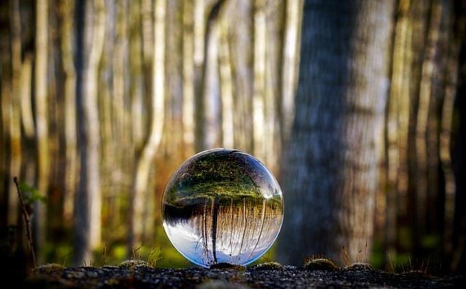 A test of perceptual perception: a glass ball in the forest