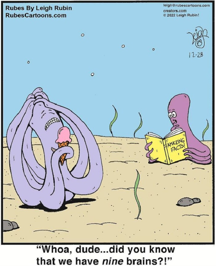 Comics, octopus