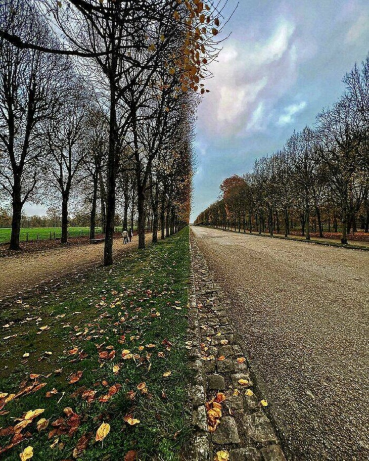 Beautiful Nature Photos, street in Versailles