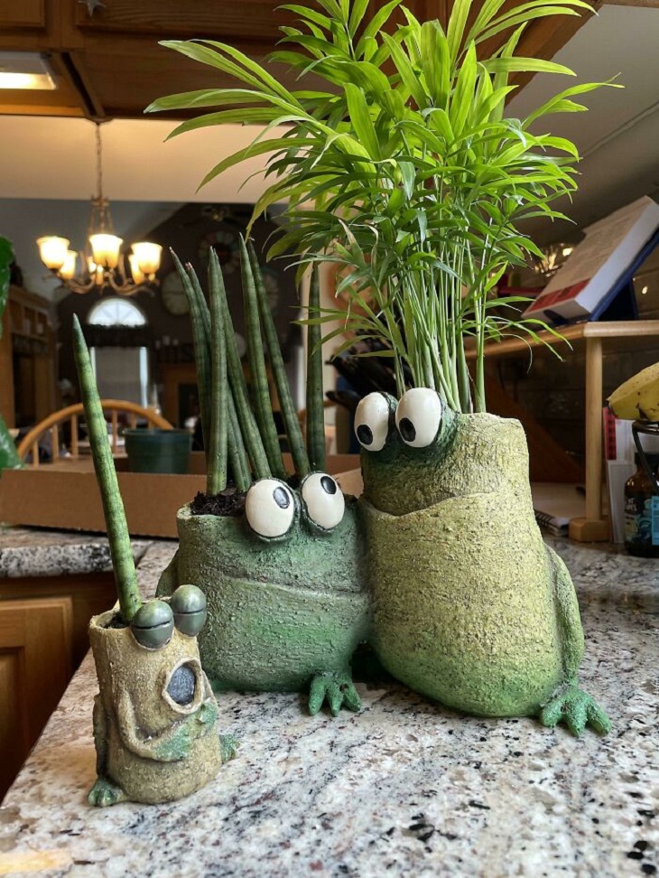 Plant-Pot Pairing, 