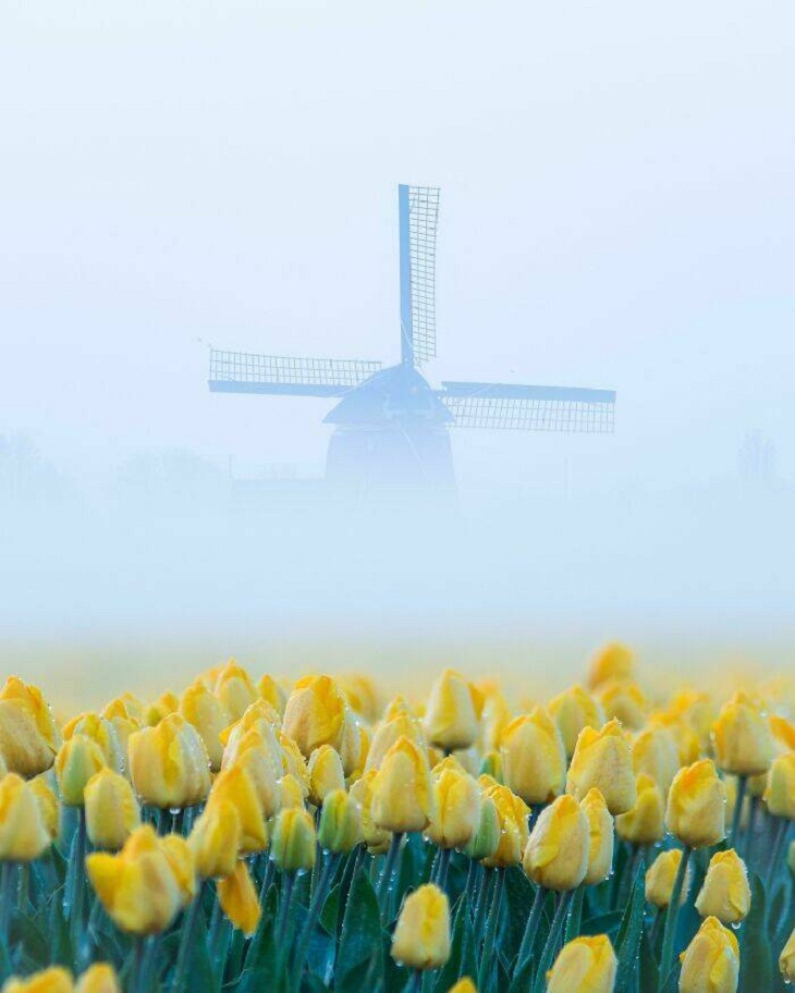 Um moinho de vento na Holanda