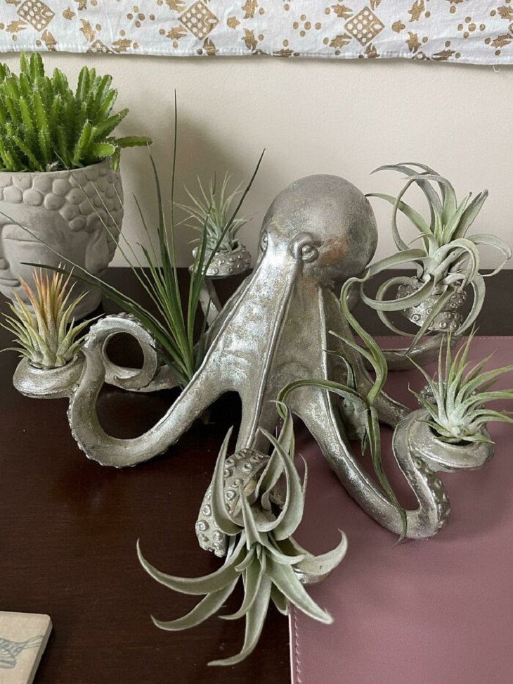 Plant-Pot Pairing, octopus