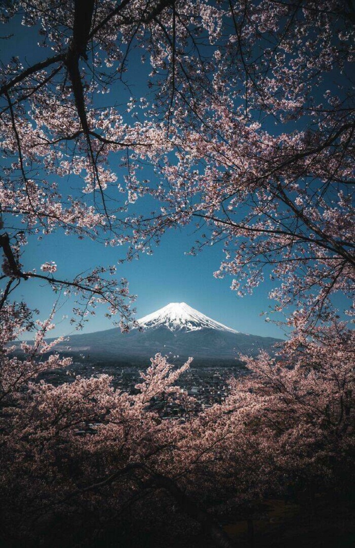 A montanha mais bonita – Fuji, Japão