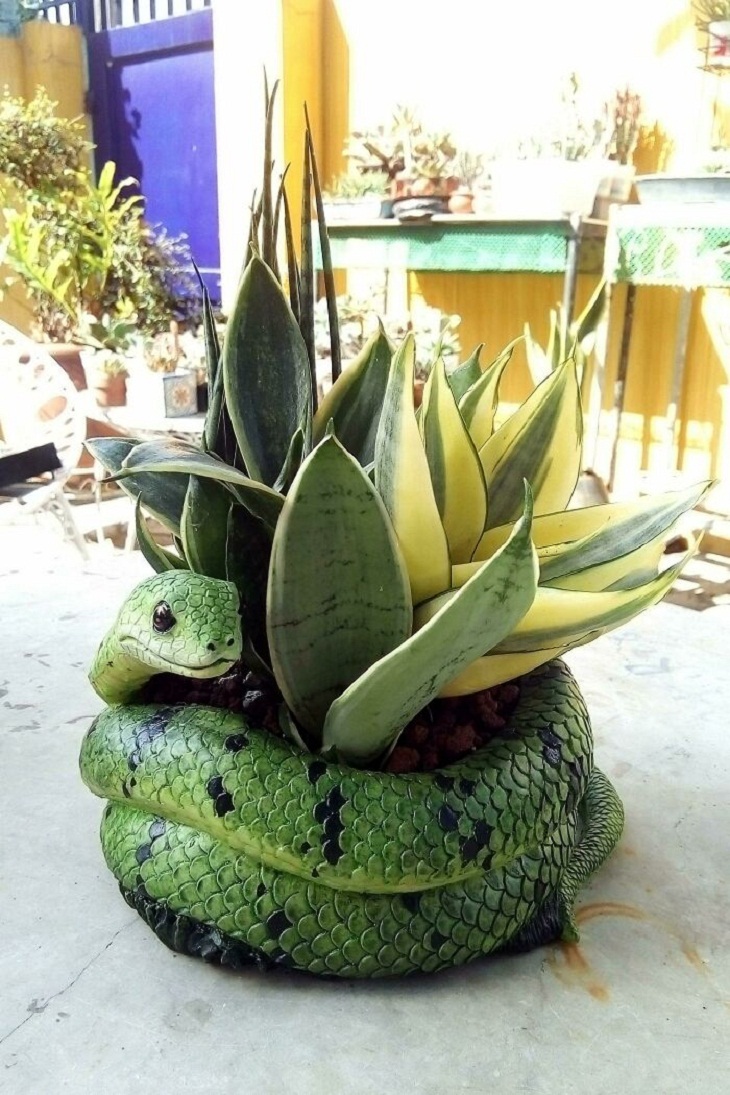 Plant-Pot Pairing, snake