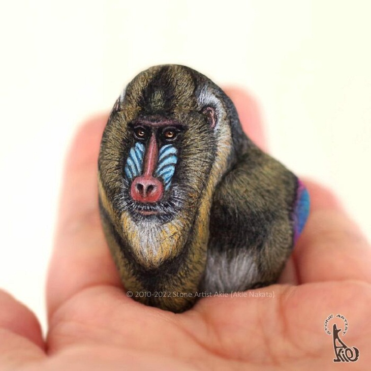 Animal Paintings on Stones, Mandrill Monkey