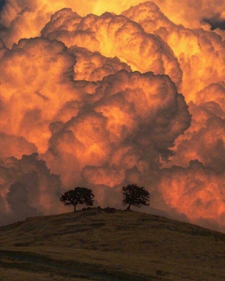 Pictures of Massive Things,  thunder clouds 