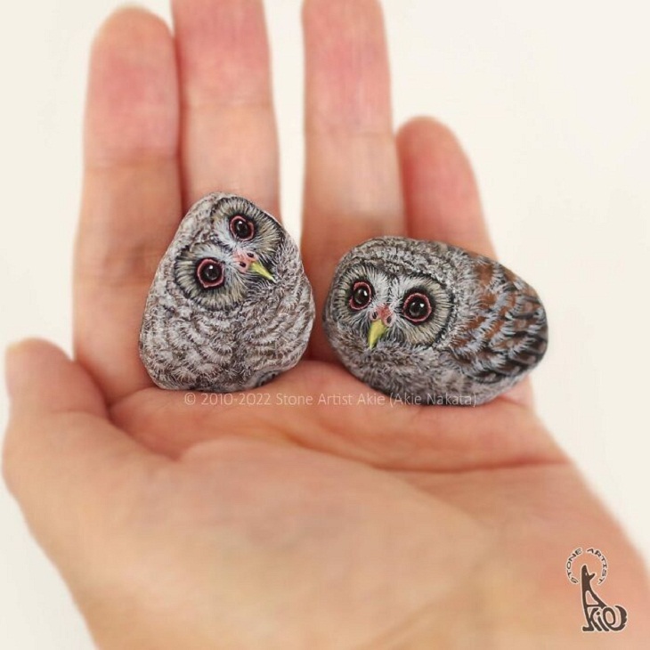 Animal Paintings on Stones, Baby owls