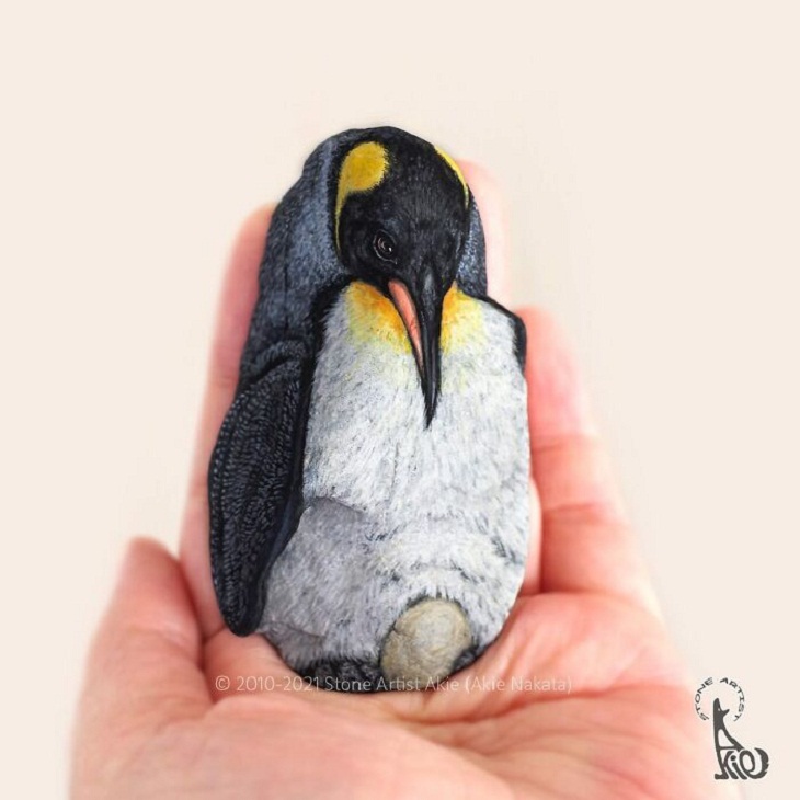 Animal Paintings on Stones, Penguin