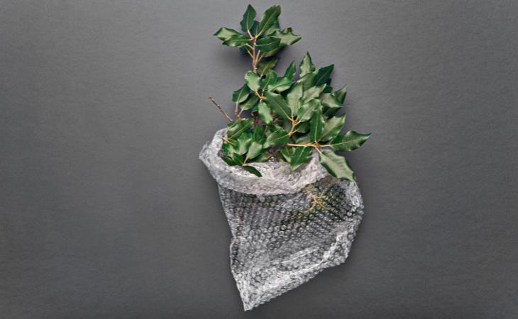 Bubble Wrap uses, plants 