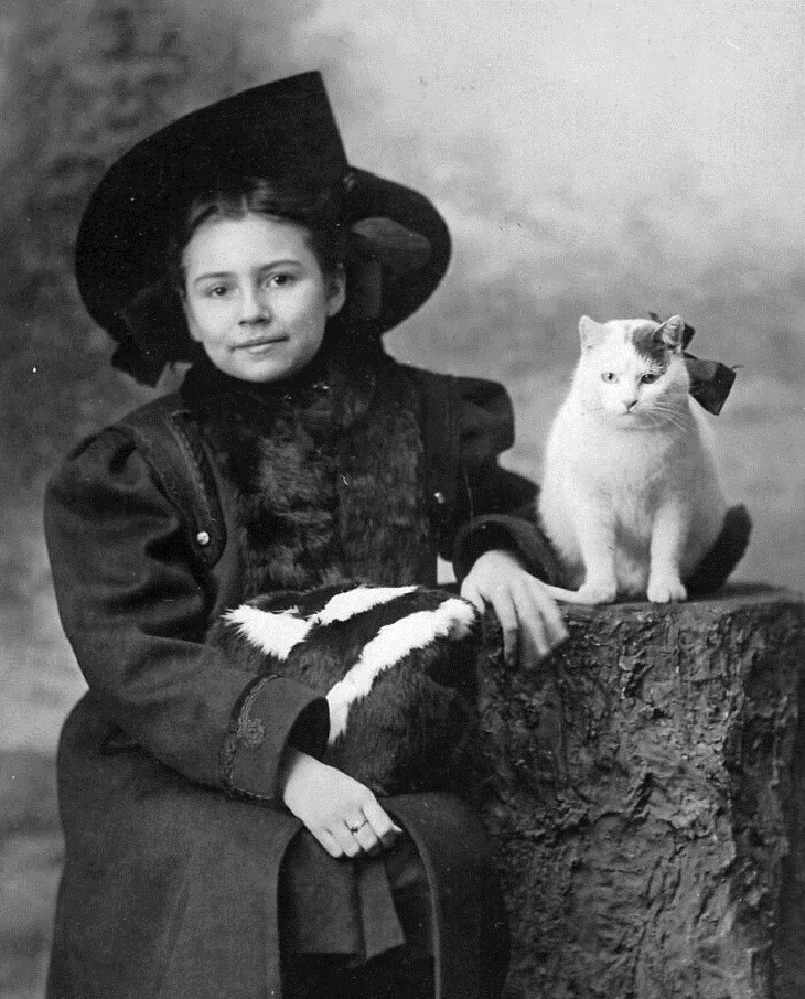 Fotos vintage de gatos