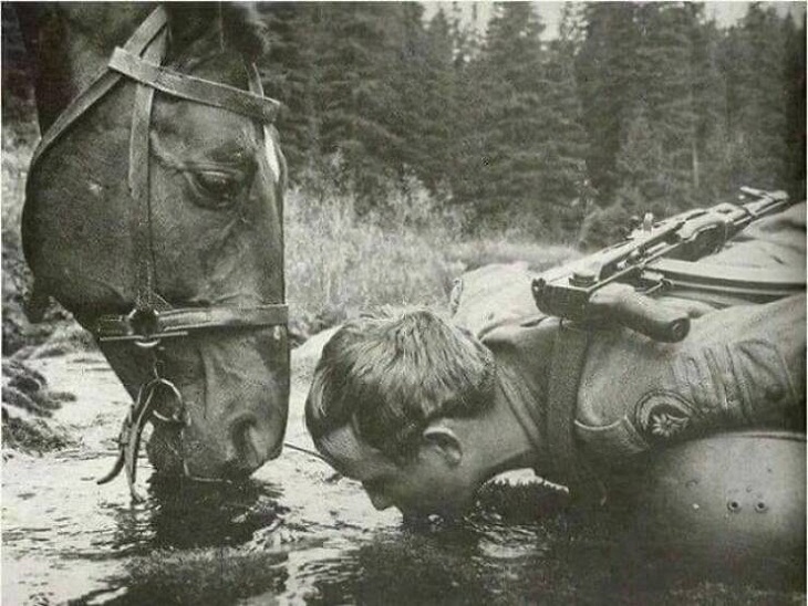 Rare Historical Photos, Polish border guard and his horse