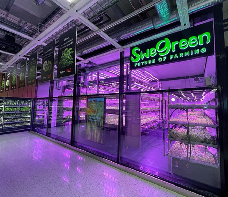 Grocery Store Innovations, salads 