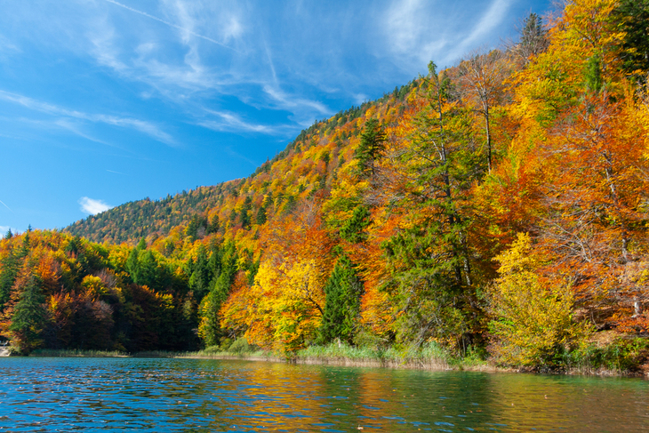 Dreamy Destinations for Vibrant Fall Foliage