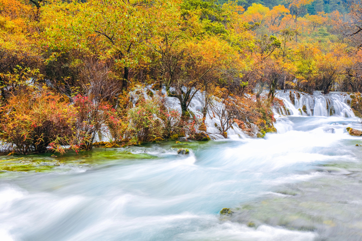 Dreamy Destinations for Vibrant Fall Foliage