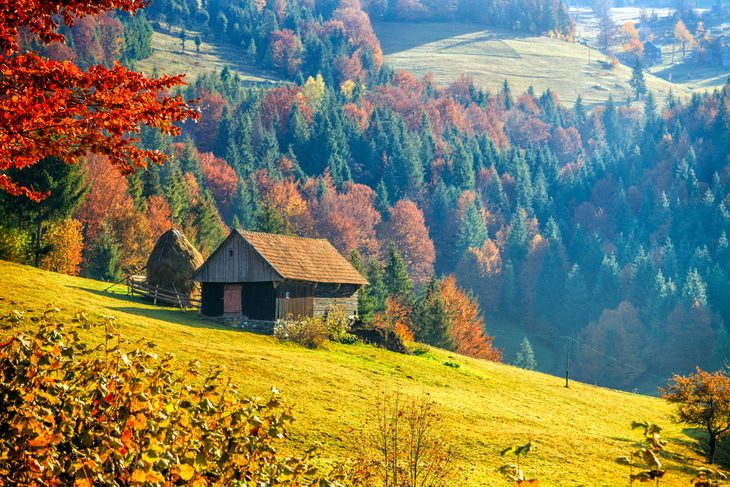 Dreamy Destinations for Vibrant Fall Foliage