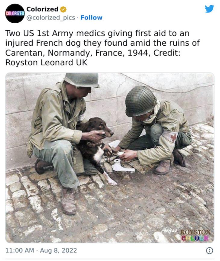 Colorized history 