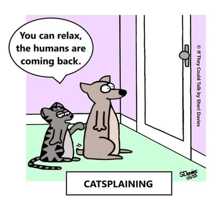 FUNNY ANIMAL COMICS