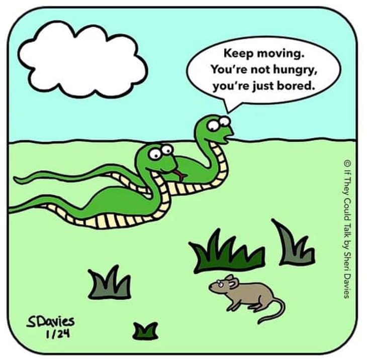 FUNNY ANIMAL COMICS