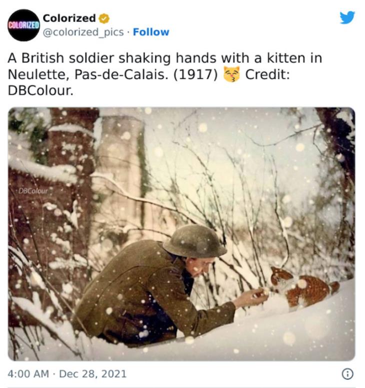 Colorized history 