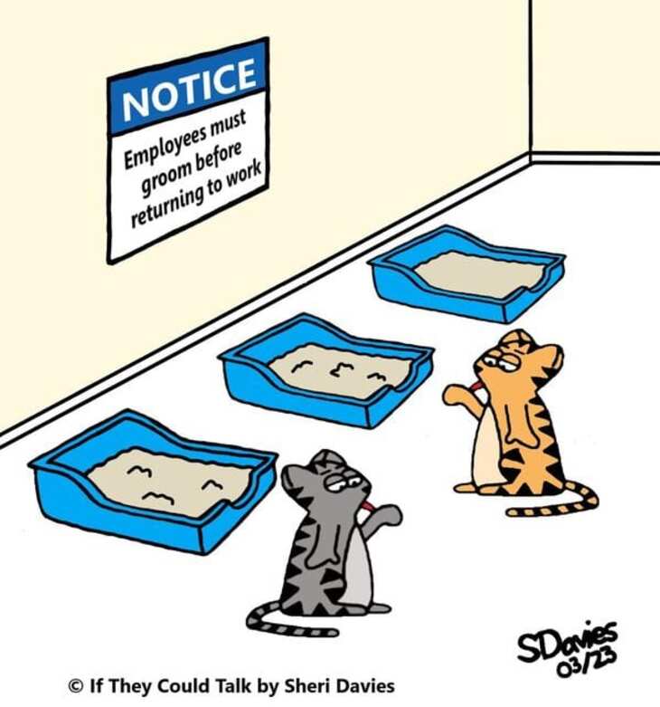 FUNNY ANIMAL COMICS