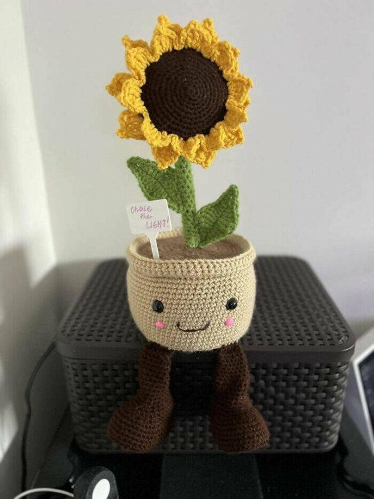 Cute Crochet Art Pieces