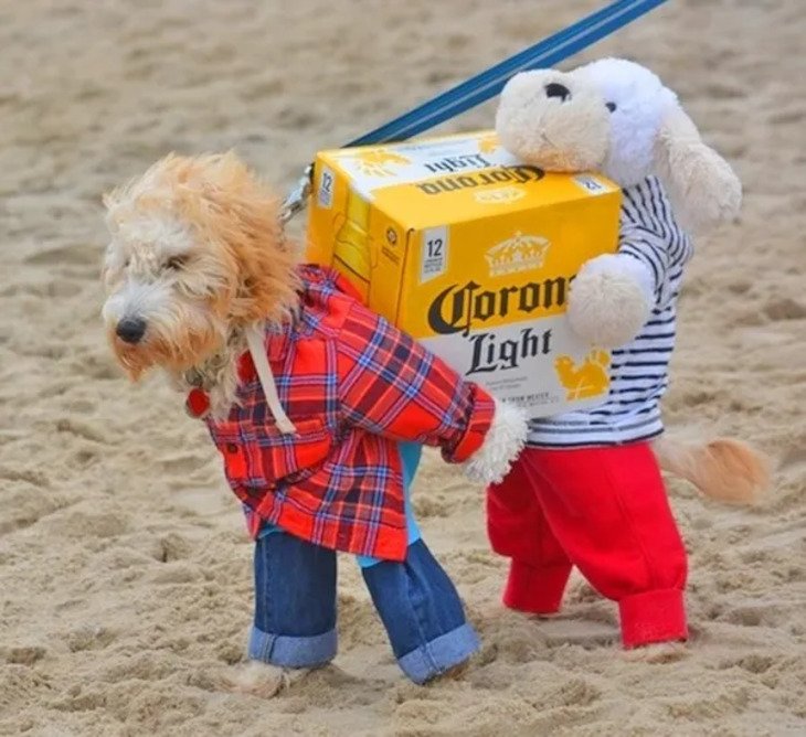 Dog Costumes for Halloween 2024