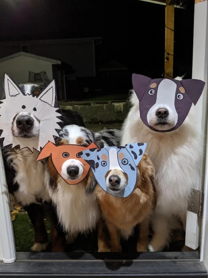 Dog Costumes for Halloween 2024