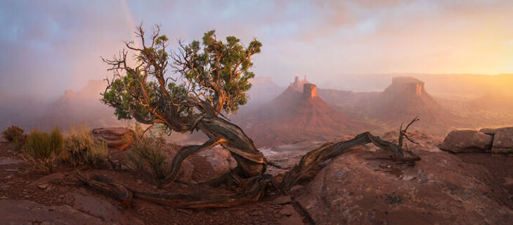 2024 Epson International Pano Awards