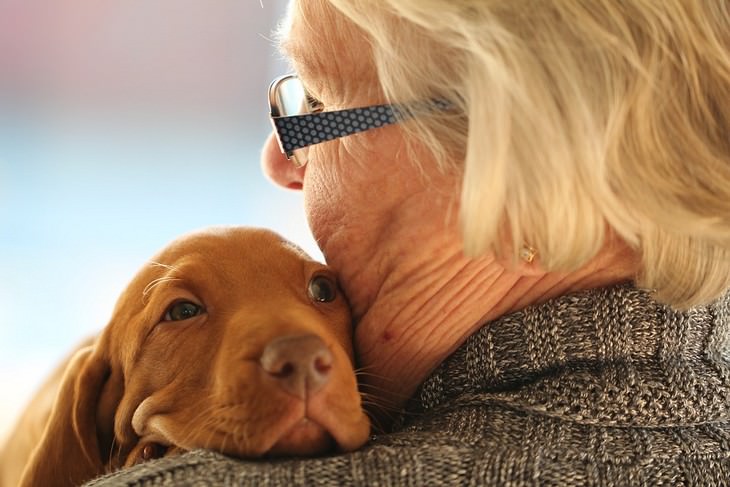 Signs your dog loves you: Dog resting his head on an older woman's shoulder