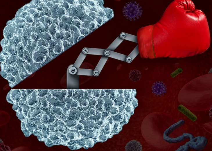 Benefits of Salicornia: Illustration of a Cell Punching with Boxing Glove