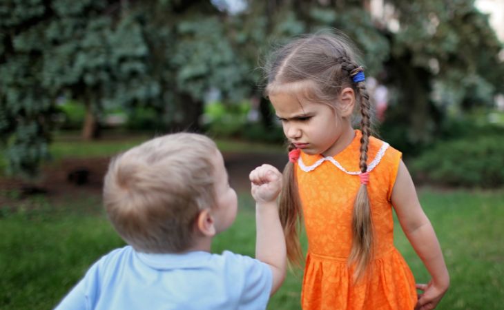 How to recognize toxic family dynamics: Children fighting