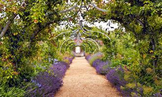 A test of flowers and romance: a tunnel of plants in a botanical garden