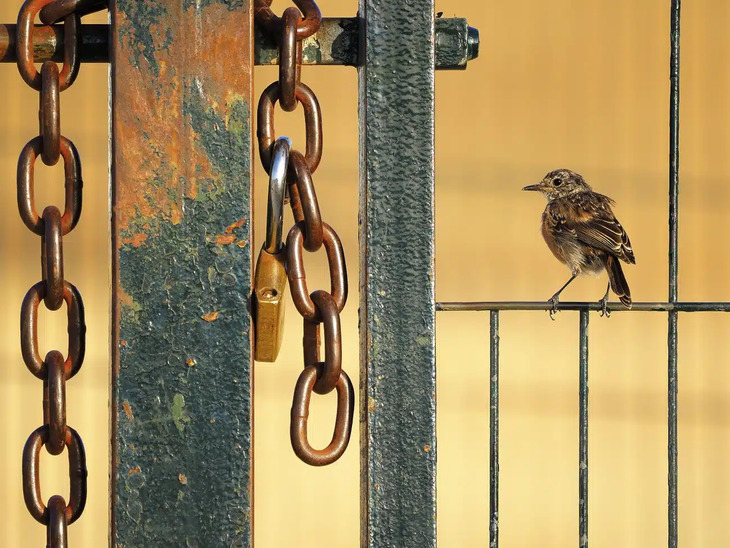 Award-Winning Nature Photos 