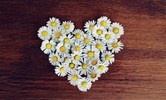 Flowers and romance test: white flowers in the shape of a heart