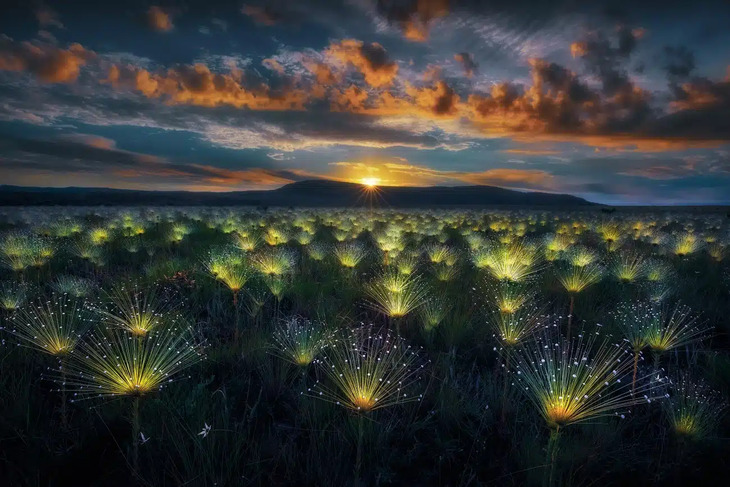 Award-Winning Nature Photos 