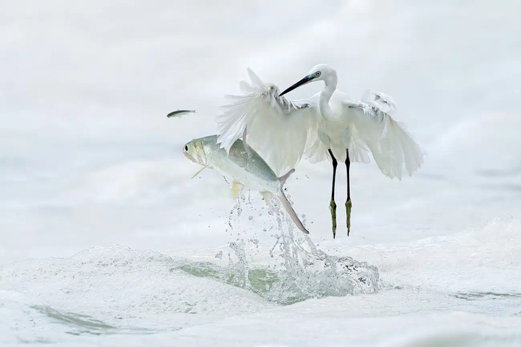 Award-Winning Nature Photos 