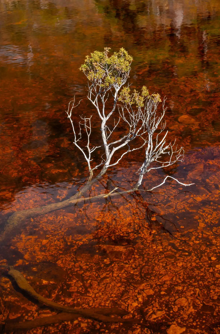 Science Photography Contest Winners