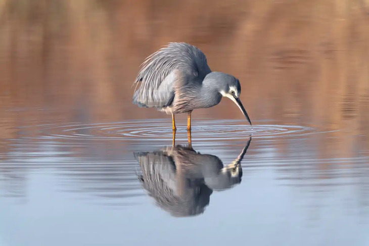 Science Photography Contest Winners