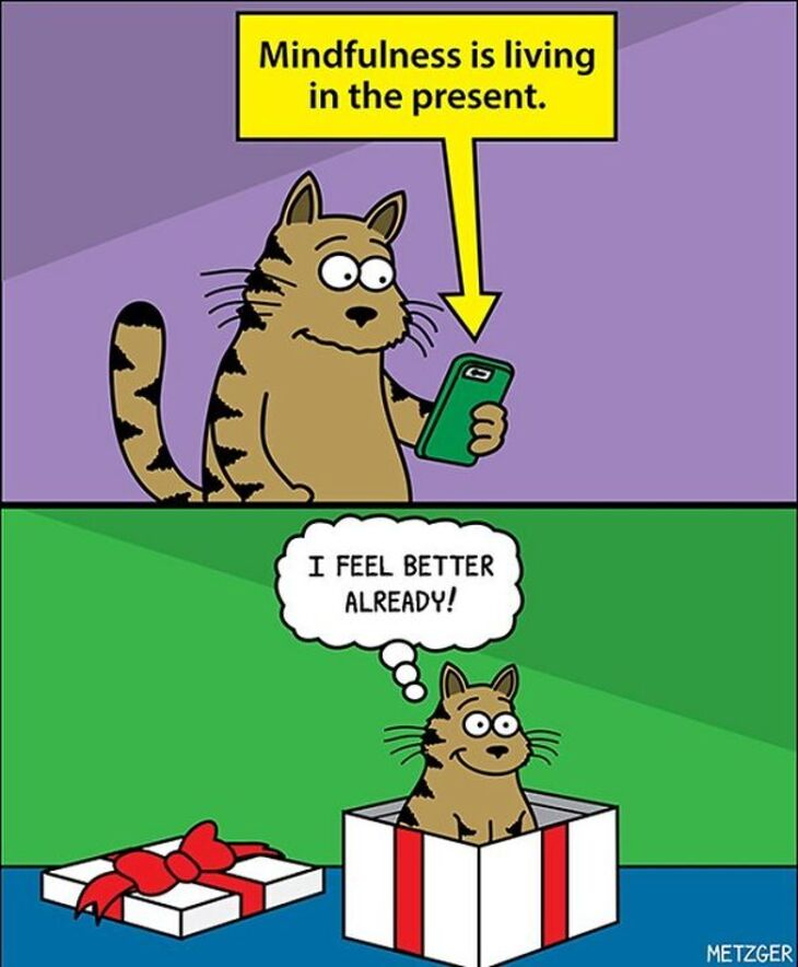 cat comics