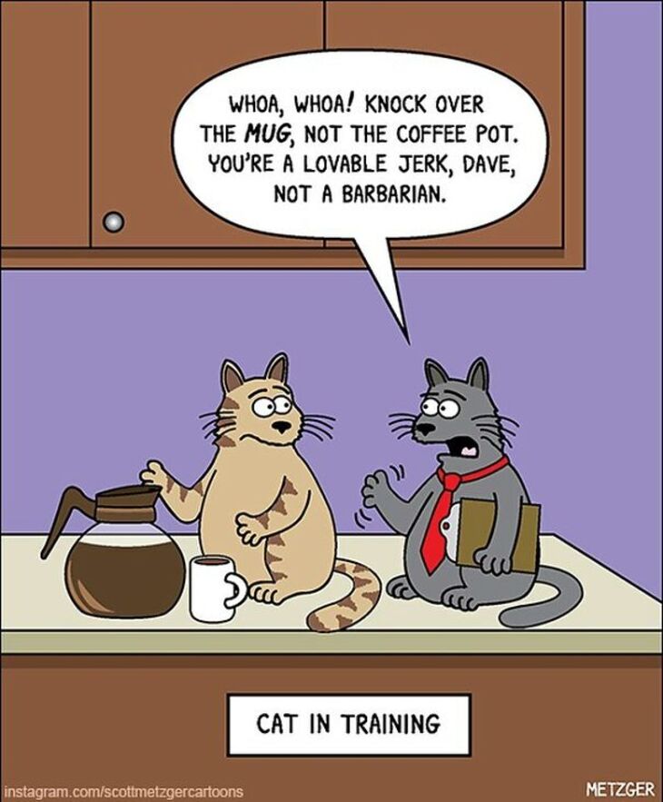 cat comics