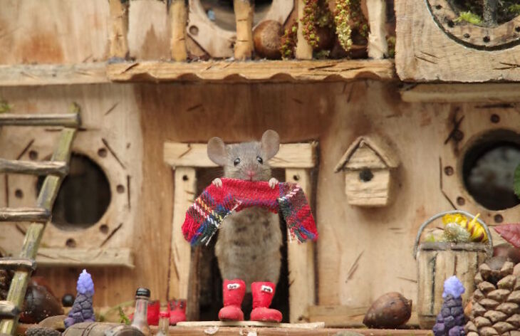 Mice village