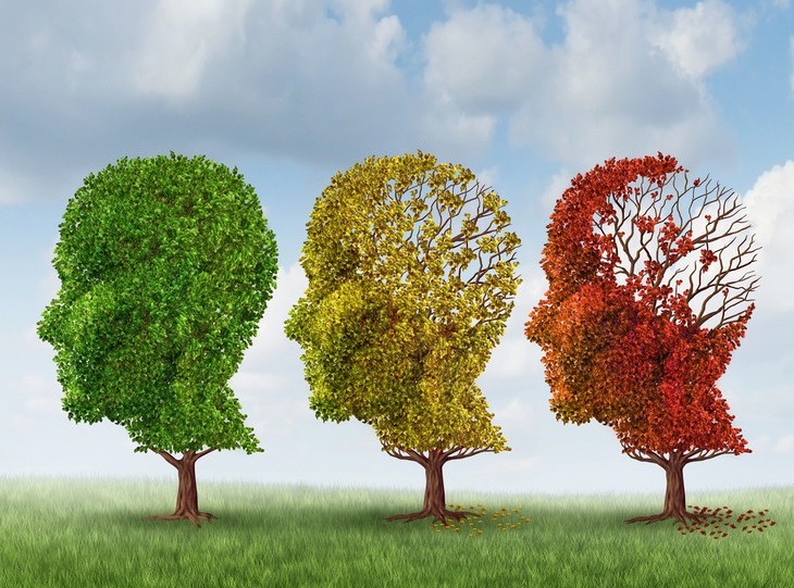 Signs of Slow or Rapid Brain Aging: Illustration of trees shaped like heads at different stages of shedding leaves