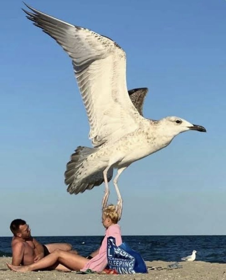 Perfectly Timed Photos 