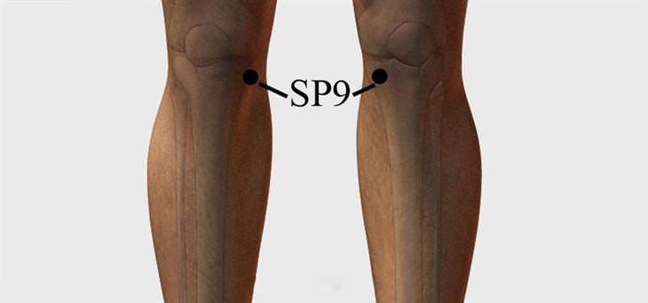 Pressure Points for Treating Knee Pain: The Shaded Side of the Mountain Point