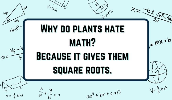 Math Puns and jokes