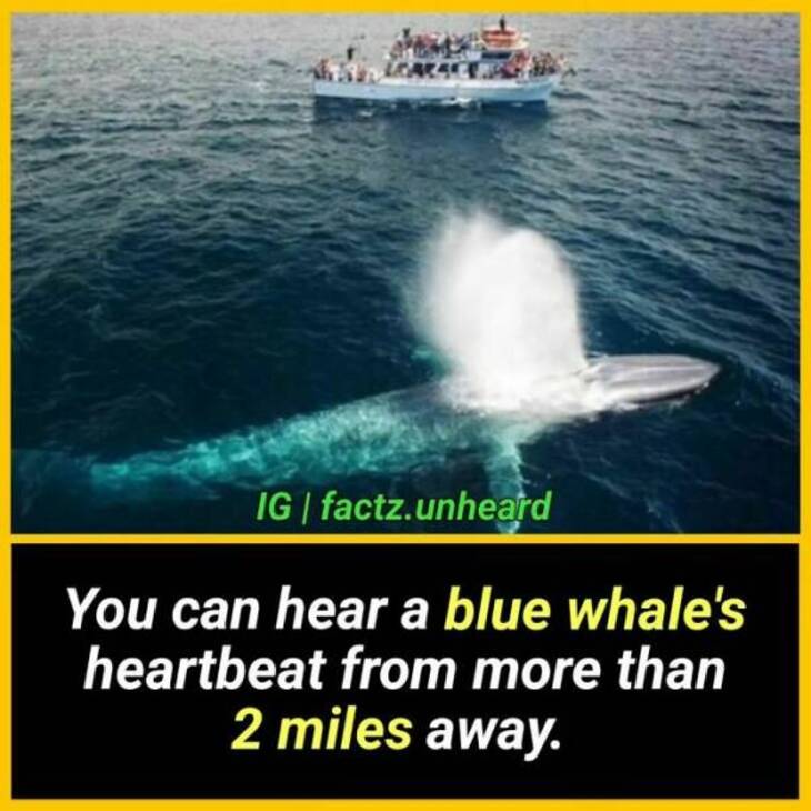 Unbelievable Facts 